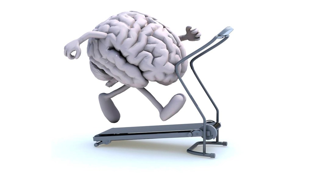 Invecchiamento cerebrale e neuroplasticita’