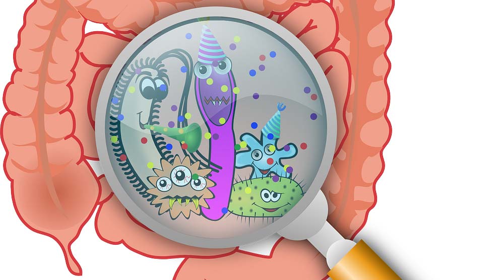 Disturbi muscolo scheletrici: se dipendesse dall’intestino?