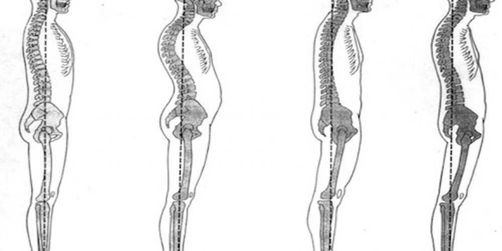 Come la postura influenza la nostra salute